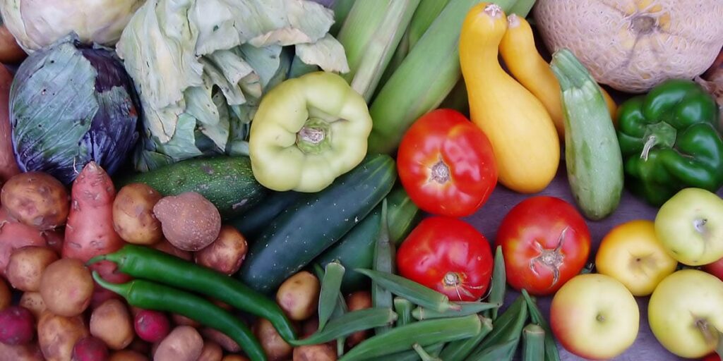Illustration showing how correct crop rotation reduces the need for chemical pesticides in vegetable gardening