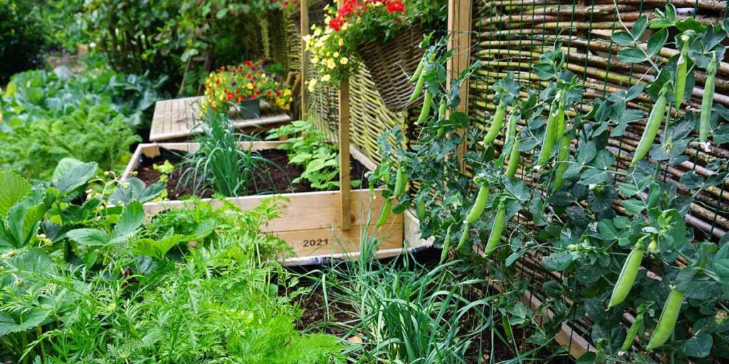 Visual reminder that preventing soil depletion helps maintain consistent vegetable yields