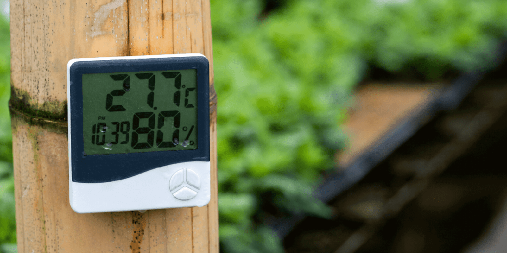 thermometer at the greenhouse