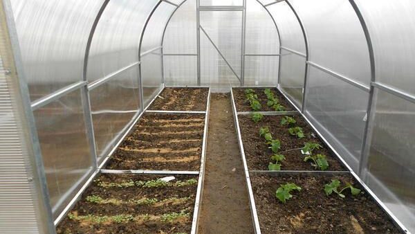 greenhouse, vegetable greenhouse, garden greenhouse, plant cultivation, protected growing, greenhouse structure, controlled environment agriculture, gardening, plant nursery