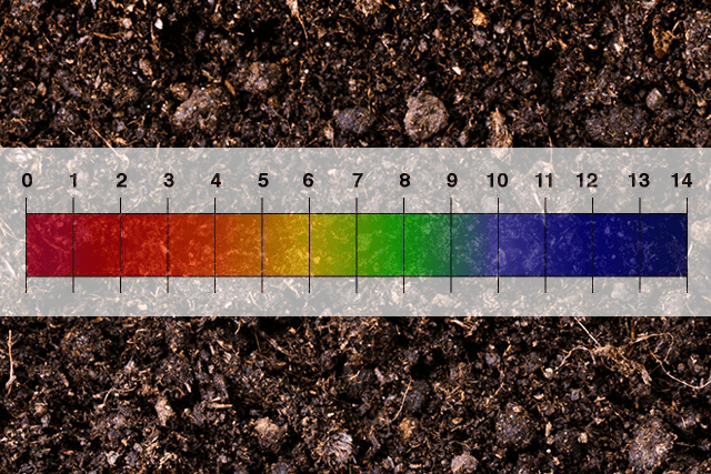 plant cultivation soil