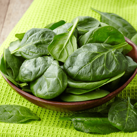 Fresh Spinach Leaves on a Plate