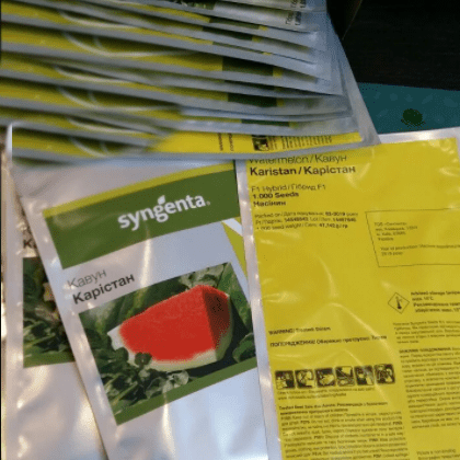 Guide on steps to take when seeds fail to sprout