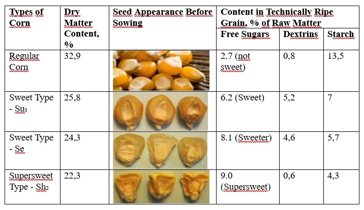 Table showing different types of corn categorized by their content of dry matter, free sugars, dextrins, and starch