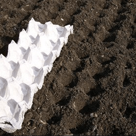 Seed hole preparation method