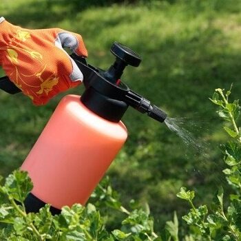Person using a handheld sprayer to apply pesticides
