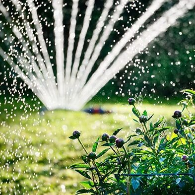 Lawn being watered with a sprinkler
