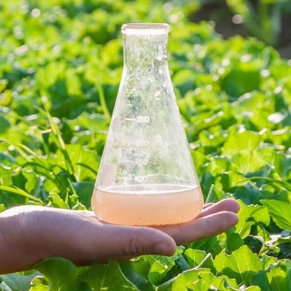 Flask containing mixed pesticide solution